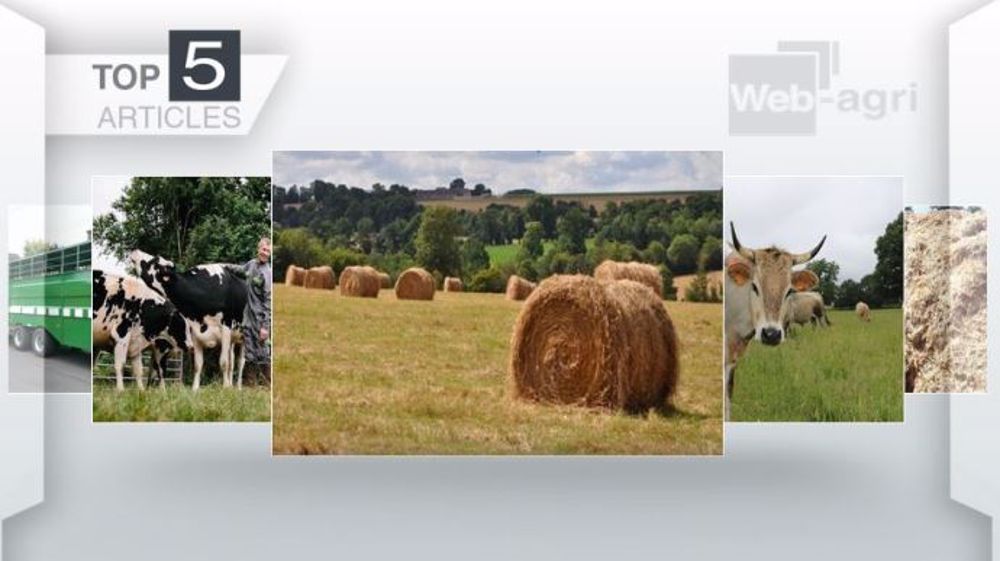 Top articles de Web-agri cette semaine (©Terre-net Média)