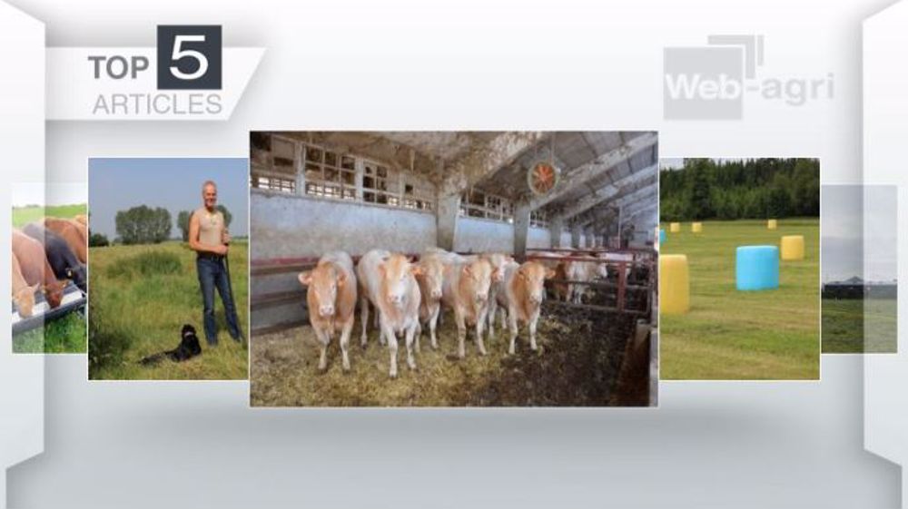Top articles de Web-agri cette semaine (©Terre-net Média)