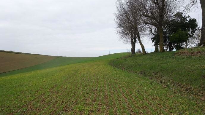 Les parcelles de l'EARL Astarac ont subi l'érosion au fil des années. Il manque jusqu'à 60 cm entre la partie cultivée et le bord de la parcelle. 
