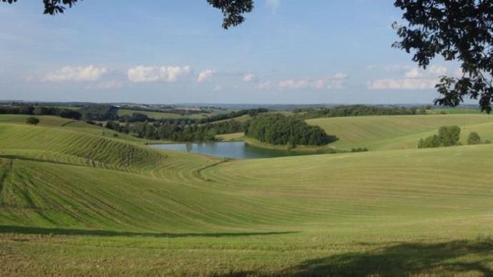 L'EARL Astarac comprend 220 ha de terres vallonnées, typiques du Gers.