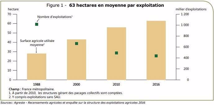 SAU moyenne et nombre d'exploitations agricoles