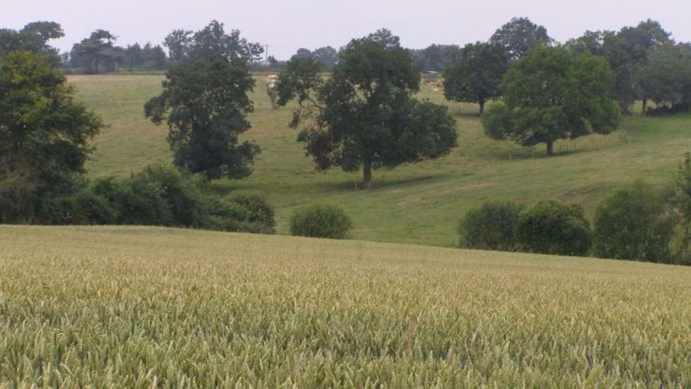 Retrouvez tous les prix du foncier agricole 2017 dans les Pays de la Loire. (©Terre-net Média) 