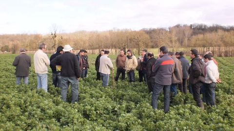 L'Apad travaille en lien avec différents partenaires pour développer une approche globale pour la lutte contre les adventices en agriculture de conservation des sols. (©Apad) L'Apad travaille en lien avec différents partenaires pour développer une approche globale pour la lutte contre les adventices en agriculture de conservation des sols. (©Apad)