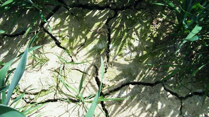 Avec l'épisode de canicule, la sécheresse a gagné une bonne partie des départements français.