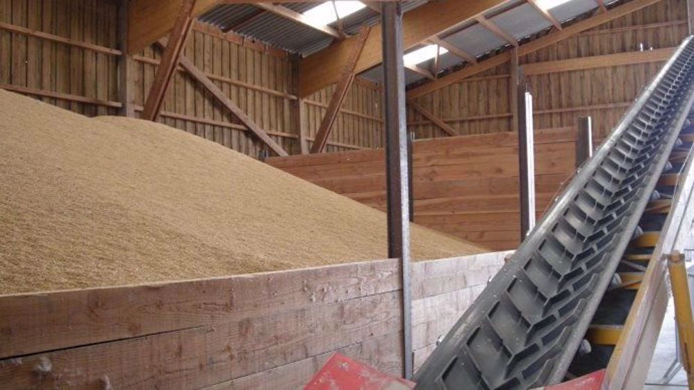 Début juillet, les stocks de blé disponibles permettaient de nourrir la planète « pendant quatre mois et demi ». (©Terre-net Média)