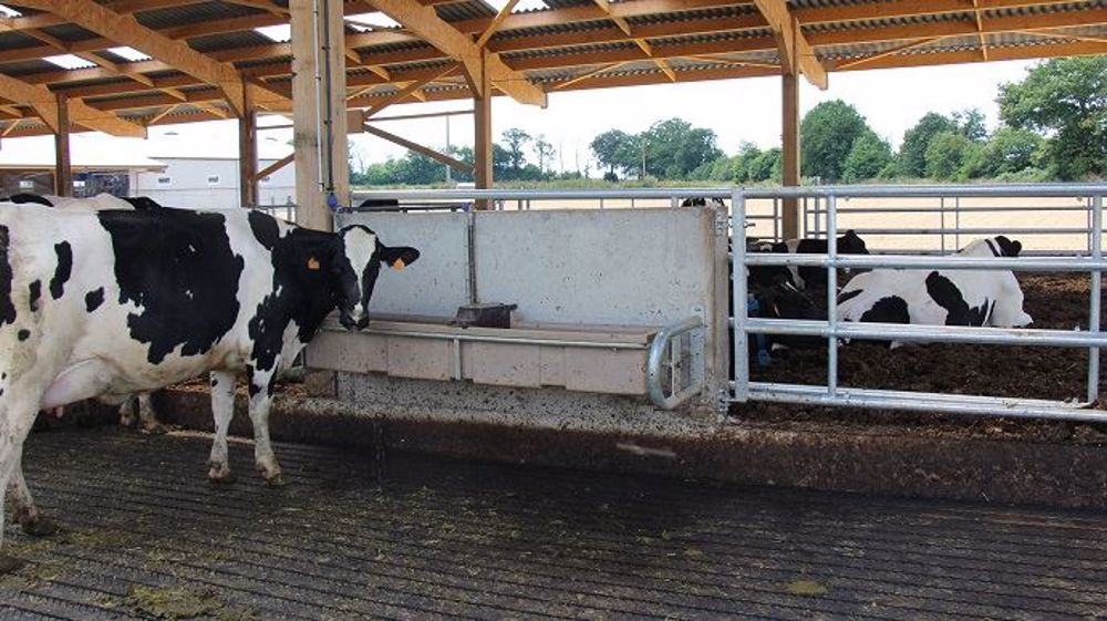 Vital Concept sera présent du 11 au 14 septembre au Space dans le hall 9 sur le stand C57. (©Vital Concept)