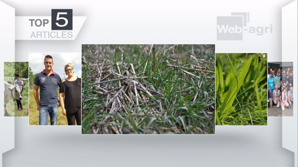 Articles les plus lus sur Web-agri cette semaine. (©Terre-net Média)