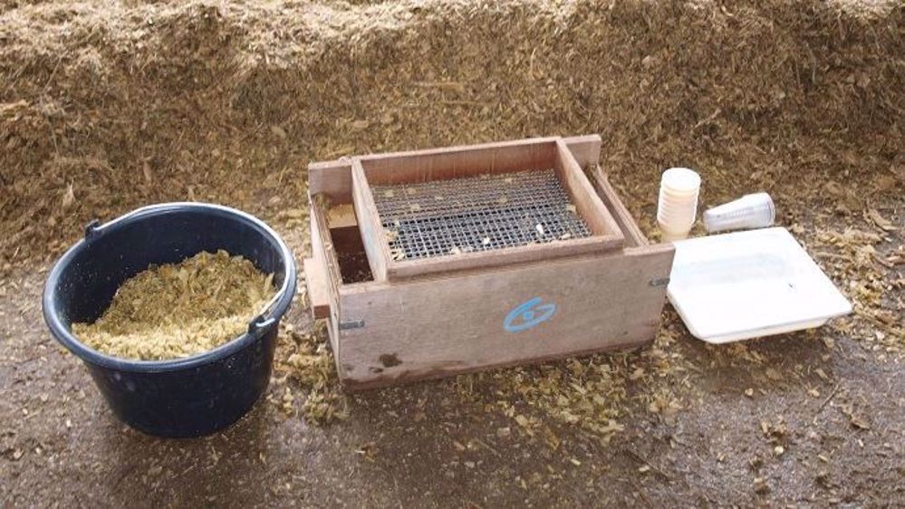 En plus de ces journées techniques, Oxygen propose une opération tamisage : le jour de l'ensilage, un conseiller peut contrôler la taille et la finesse de hachage et l'éclatement du grain. (©Oxygen)