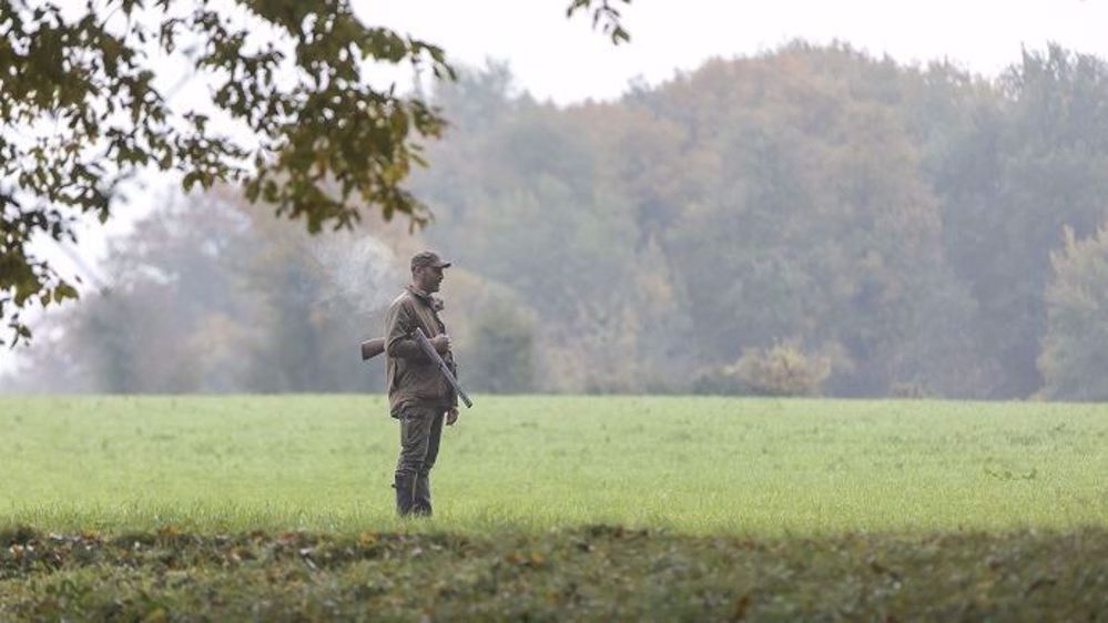 Le permis national de chasser sera d'un coût de 200 €, contre environ 400 € actuellement. (©Watier Visuels)
