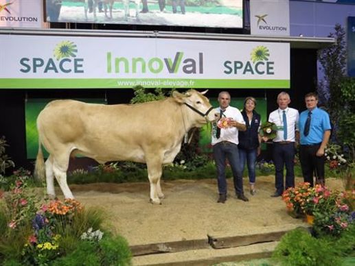 Prix de Championnat Femelle, Blonde d'Aquitaine