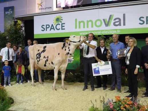Capj Irana, réserve grande championne.