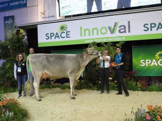 Miniswett remporte le championnat jeune en Brune.