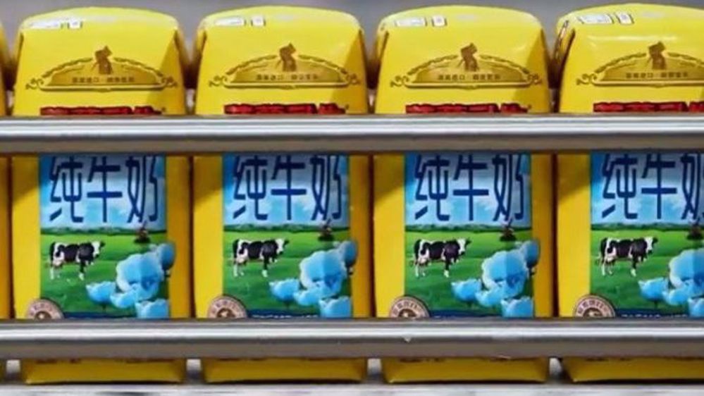 Les maîtres laitiers du Cotentin ne produiront plus de lait infantile pour son client chinois Synutra, qui a décidé unilatéralement, selon la coopérative laitière, de rompre son contrat. (©Terre-net Média)