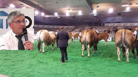 Didier Dupuis, président de l'OS : « La Parthenaise est une race haut de gamme » Didier Dupuis, président de l'OS : « La Parthenaise est une race haut de gamme »