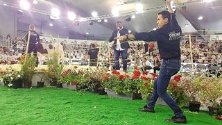 C'est une fille du taureau Blowtorch qui a fait grimper les enchères à leur maximum lors de la vente génomic élite : 10 400 € (©Terre-net Média) C'est une fille du taureau Blowtorch qui a fait grimper les enchères à leur maximum lors de la vente génomic élite : 10 400 € (©Terre-net Média)