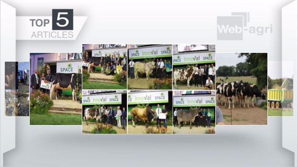 Articles les plus lus sur Web-agri cette semaine. (©Terre-net Média)