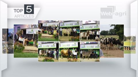 Articles les plus lus sur Web-agri cette semaine. (©Terre-net Média)