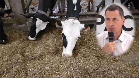 M. Vagneur, vétérinaire : « apporter des fibres sans déconcentrer la ration »