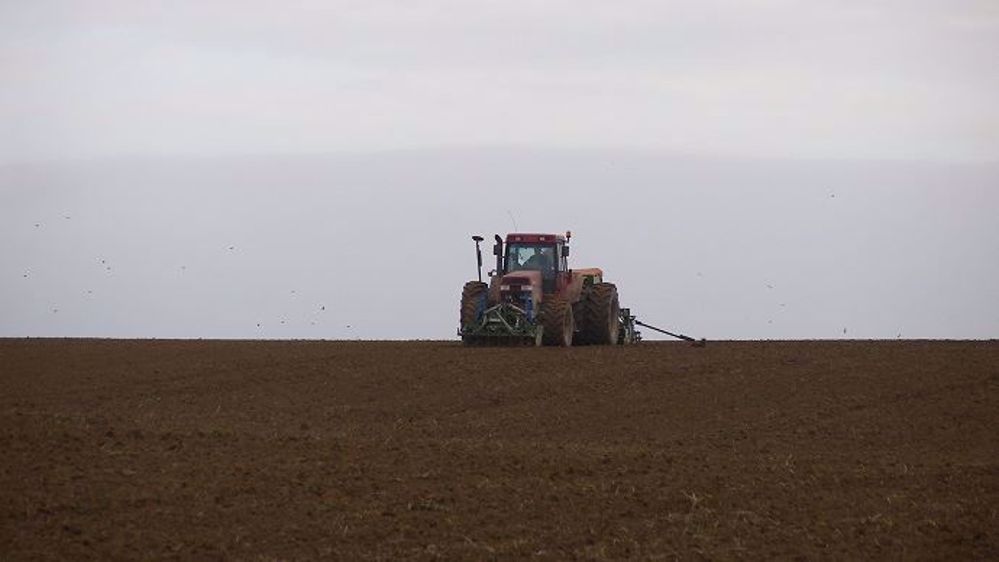Arvalis recommande de retarder la date de semis des blés, notamment dans les parcelles les plus sales. (©Terre-net Média)