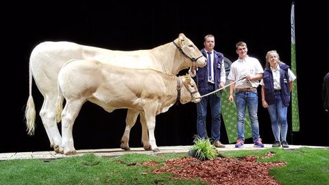 Jouvence et Luisant triomphent au concours Blonde d'Aquitaine Jouvence et Luisant triomphent au concours Blonde d'Aquitaine