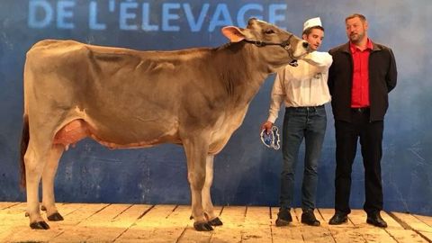 Jartelle, Grande Championne de la race brune (©<a href="https://www.facebook.com/BGS-Brune-G%C3%A9n%C3%A9tique-Services-158264927528033/" title="Brune" target="_blank">Page Brune Génétique Services</a>) Jartelle, Grande Championne de la race brune (©<a href="https://www.facebook.com/BGS-Brune-G%C3%A9n%C3%A9tique-Services-158264927528033/" title="Brune" target="_blank">Page Brune Génétique Services</a>)