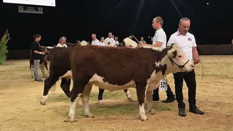 Nalie et Romany sont les deux grands gagnants du concours national Hereford