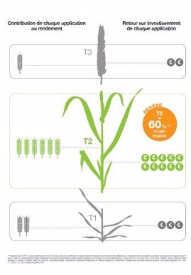Répartition du programme fongicides selon BASF