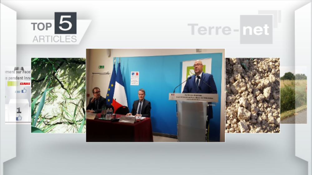 Les articles les plus lus de Terre-Net. (©Terre-net Média)
