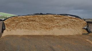 Cette année, les silos de maïs ensilage seront certainement moins imposants au vu des rendements 2018. (©Terre-net Média) Cette année, les silos de maïs ensilage seront certainement moins imposants au vu des rendements 2018. (©Terre-net Média)