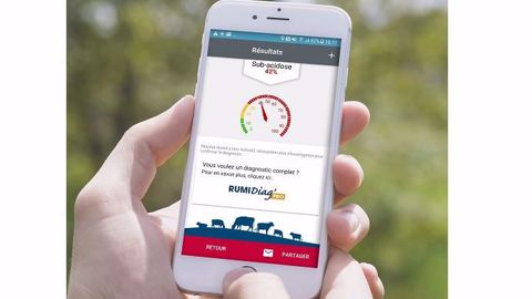 Pour évaluer la qualité de la digestion des vaches et le risque de sub-acidose, Évialis propose l'application My Rumidiag qui analyse des photos de bouses. (©Évialis) Pour évaluer la qualité de la digestion des vaches et le risque de sub-acidose, Évialis propose l'application My Rumidiag qui analyse des photos de bouses. (©Évialis)