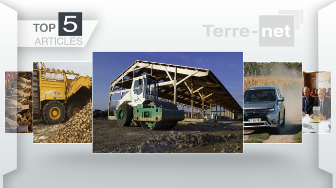 Top articles
