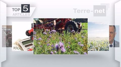 Les articles les plus lus de Terre-Net. (©Terre-net Média)