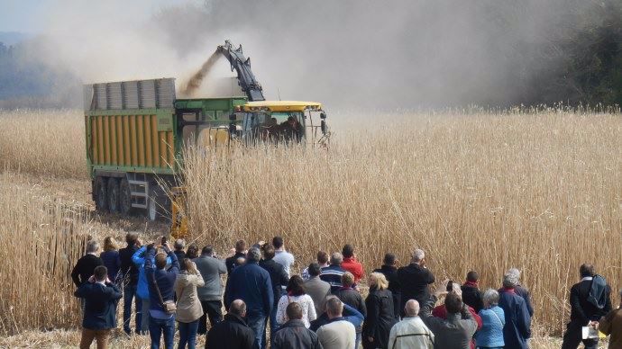 Démonstratoin de récolte de miscanthus.