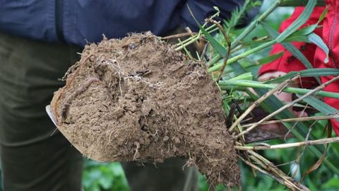 Avec "l'initiative Sols vivants", TFT veut accompagner les agriculteurs vers des pratiques plus respectueuses de l'environnement. (©Terre-net Média)