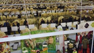 Le festival du bœuf Charolais se déroulerai les 1<sup>er</sup> et 2 décembre 2018 à Charolles (©Festival du bœuf Charolais) Le festival du bœuf Charolais se déroulerai les 1<sup>er</sup> et 2 décembre 2018 à Charolles (©Festival du bœuf Charolais)