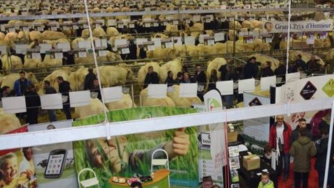 Le festival du bœuf Charolais se déroulerai les 1<sup>er</sup> et 2 décembre 2018 à Charolles (©Festival du bœuf Charolais)