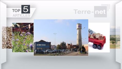 Les articles les plus lus de Terre-net cette semaine. (©Terre-net Média)