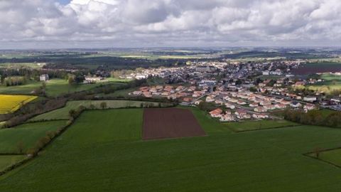Les 19 parlementaires de la mission sur le foncier agricole ont voté leur rapport et proposent de réformer la gouvernance du foncier et le statut du fermage, tout en contrôlant davantage les investissements étrangers sur la terre agricole. (©Watier Visuels)<span style="font-size: 14px; text-align: justify; color: #000000;"> 