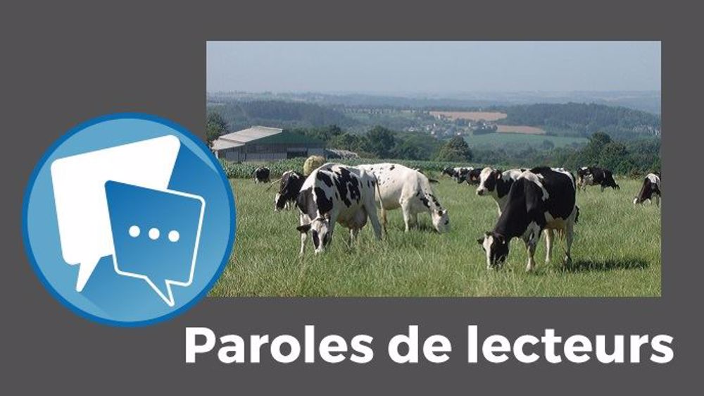 Avec un prix du lait aussi bas, « pas étonnant que plus personne ne veuille<strong> </strong>reprendre une exploitation laitière ! », s'exclame Steph72. (©Terre-net Média)