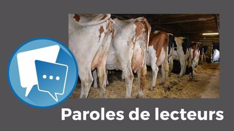  « Nos vaches auront-elles le Wi-Fi ? Quelle marque de tablette me conseillez-vous pour qu'elles ne s'ennuient pas ? », ironise Nicolas Michel. (©Terre-net Média)