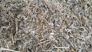 Le rationnement des vaches laitières est un domaine complexe. Faut-il leur proposer une grande diversité d'aliments ? Dois-je faire analyser mes fourrages ? Quel est mon niveau de risque acidogène ? Comment y remédier ? Les conseillers des Chambres d'agriculture de Bretagne vous aident à y voir plus clair. (©Terre-net-média) Le rationnement des vaches laitières est un domaine complexe. Faut-il leur proposer une grande diversité d'aliments ? Dois-je faire analyser mes fourrages ? Quel est mon niveau de risque acidogène ? Comment y remédier ? Les conseillers des Chambres d'agriculture de Bretagne vous aident à y voir plus clair. (©Terre-net-média)