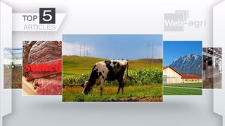 Les articles les plus lus de la semaine sur Web-agri. (©Terre-net Média) Les articles les plus lus de la semaine sur Web-agri. (©Terre-net Média)