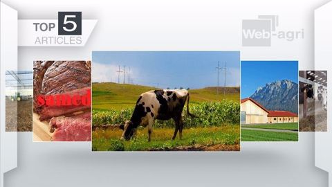 Les articles les plus lus de la semaine sur Web-agri. (©Terre-net Média)