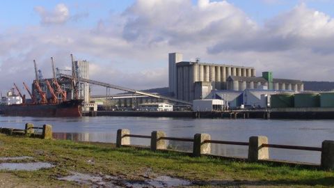 Selon les dernières estimations de Franceagrimer, la France pourrait exporter 7,7 Mt de blé vers ses voisins européens, dont les trois quarts vers la Belgique et les Pays-Bas. (©Terre-net Média)