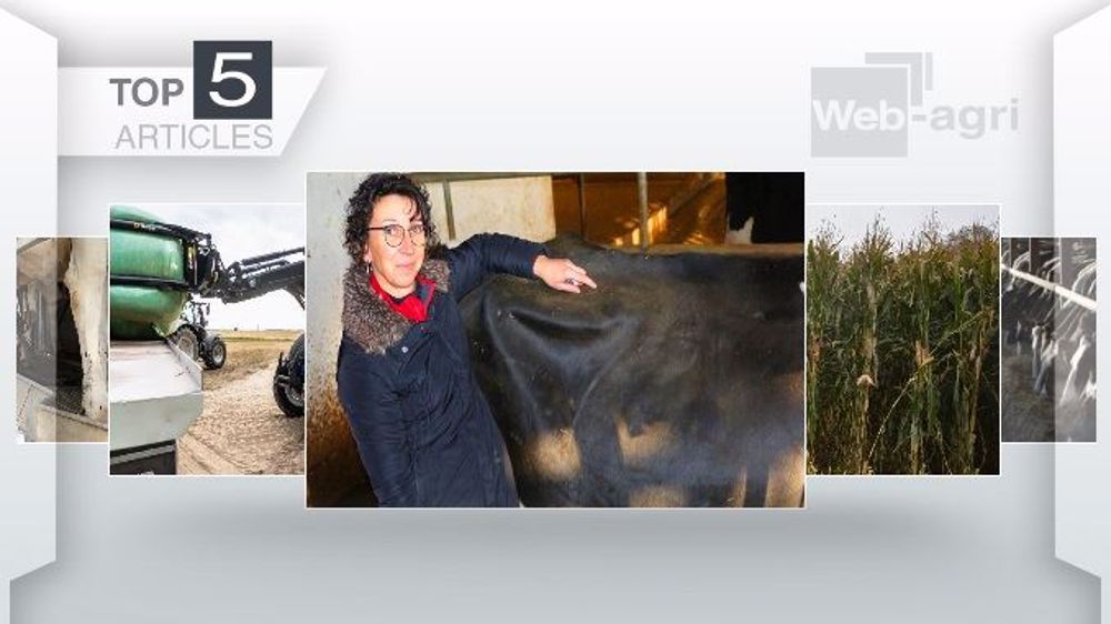 Les articles les plus lus de la semaine sur Web-agri. (©Terre-net Média) Les articles les plus lus de la semaine sur Web-agri. (©Terre-net Média)