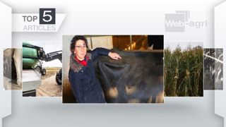 Les articles les plus lus de la semaine sur Web-agri. (©Terre-net Média) Les articles les plus lus de la semaine sur Web-agri. (©Terre-net Média)