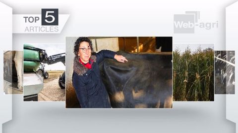 Les articles les plus lus de la semaine sur Web-agri. (©Terre-net Média) Les articles les plus lus de la semaine sur Web-agri. (©Terre-net Média)