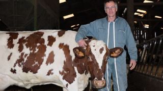 H. Dion (60) : « Des animaux croisés productifs adaptés à un système intensif » H. Dion (60) : « Des animaux croisés productifs adaptés à un système intensif »