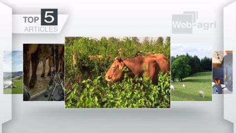 Les articles les plus lus de la semaine sur Web-agri. (©Terre-net Média) Les articles les plus lus de la semaine sur Web-agri. (©Terre-net Média)