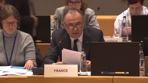 Didier Guillaume, le ministre français de l'agriculture, lors de la réunion des ministres de l'agriculture de l'Union européenne, lundi 28 janvier 2019. (©Terre-net Média)